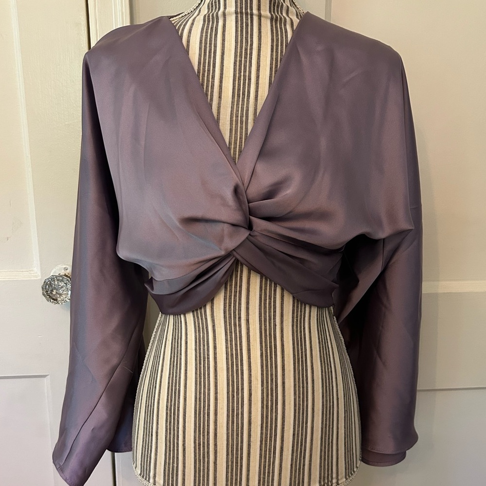 Zara Satin Knotted Crop Top NWT